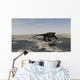 Cotylorhynchus along Shores Prehistoric Wall Decal Design 2