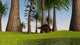 Kentrosaurus Walking along Nearby Wall Decal Design 1