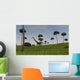 Mamenchisaurus Walking across Grassy Wall Decal Design 4