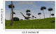 Mamenchisaurus Walking across Grassy Wall Decal Design 4