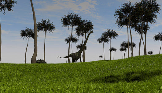 Mamenchisaurus Walking across Grassy Wall Decal Design 3