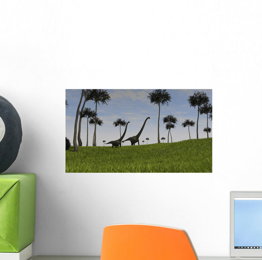 Two Mamenchisaurus Walking across Wall Decal Design 5