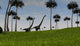 Two Mamenchisaurus Walking across Wall Decal Design 5