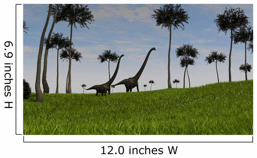Two Mamenchisaurus Walking across Wall Decal Design 5