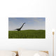 Mamenchisaurus Walking across Grassy Wall Decal Design 2