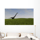 Mamenchisaurus Walking across Grassy Wall Decal Design 2