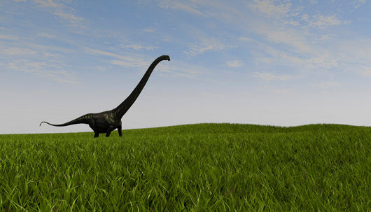 Mamenchisaurus Walking across Grassy Wall Decal Design 2