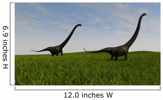Two Mamenchisaurus Walking across Wall Decal Design 4