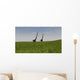 Two Mamenchisaurus Walking across Wall Decal Design 3