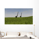 Two Mamenchisaurus Walking across Wall Decal Design 3