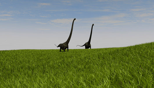 Two Mamenchisaurus Walking across Wall Decal Design 3