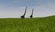 Two Mamenchisaurus Walking across Wall Decal Design 3