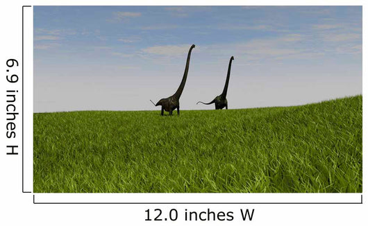 Two Mamenchisaurus Walking across Wall Decal Design 3