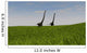 Two Mamenchisaurus Walking across Wall Decal Design 3