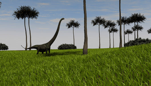 Mamenchisaurus Walking across Grassy Wall Decal Design 1