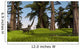 Mamenchisaurus Walking along Nearby Wall Decal