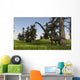 Two Mamenchisaurus Swampy Water Wall Decal
