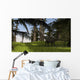 Mamenchisaurus Walking through Swampy Wall Decal Design 1