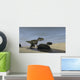 Monolophosaurus Running through Stream Wall Decal
