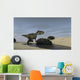 Monolophosaurus Running through Stream Wall Decal
