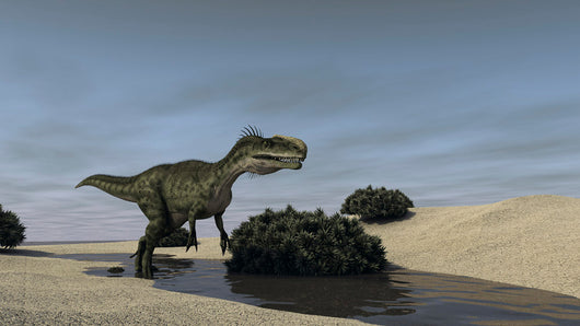 Monolophosaurus Running through Stream Wall Decal