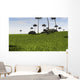 Lystrosaurus Grassy Field Wall Decal Design 1