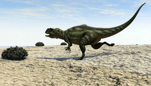 Yangchuanosaurus Running across Barren Wall Decal Design 2