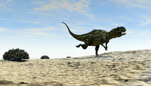 Yangchuanosaurus Running across Barren Wall Decal Design 1