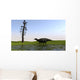 Shuangmiaosaurus Walking through Swamp Wall Decal
