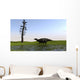 Shuangmiaosaurus Walking through Swamp Wall Decal