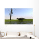 Shuangmiaosaurus Walking through Swamp Wall Decal