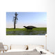 Shuangmiaosaurus Walking through Swamp Wall Decal