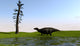 Shuangmiaosaurus Walking through Swamp Wall Decal