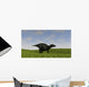 Shuangmiaosaurus Walking across Grassy Wall Decal Design 3
