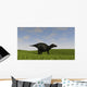 Shuangmiaosaurus Walking across Grassy Wall Decal Design 3
