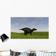 Shuangmiaosaurus Walking across Grassy Wall Decal Design 3