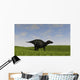 Shuangmiaosaurus Walking across Grassy Wall Decal Design 3