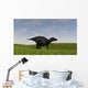 Shuangmiaosaurus Walking across Grassy Wall Decal Design 3