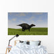 Shuangmiaosaurus Walking across Grassy Wall Decal Design 3