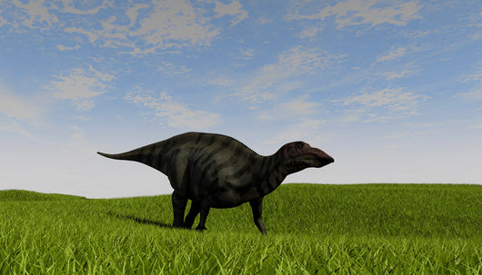 Shuangmiaosaurus Walking across Grassy Wall Decal Design 3