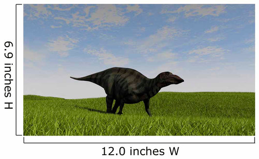 Shuangmiaosaurus Walking across Grassy Wall Decal Design 3