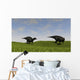 Two Shuangmiaosaurus Walking across Wall Decal Design 2