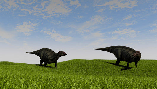 Two Shuangmiaosaurus Walking across Wall Decal Design 2