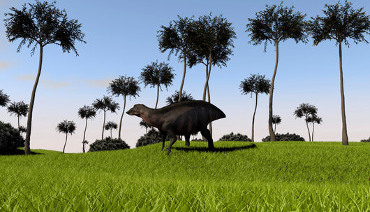 Shuangmiaosaurus Walking across Grassy Wall Decal Design 1