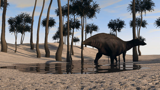 Shuangmiaosaurus Swampy Water Wall Decal
