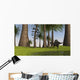 Spinosaurus Hunting along Edge Wall Decal Design 3