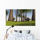 Spinosaurus Hunting along Edge Wall Decal Design 3