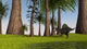 Spinosaurus Hunting along Edge Wall Decal Design 3