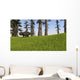 Udanoceratops Walking across Grassy Wall Decal Design 1