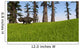Udanoceratops Walking across Grassy Wall Decal Design 1